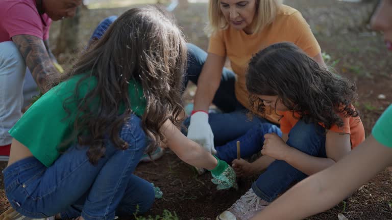 Best Tree Mulching  in Sylvania, OH